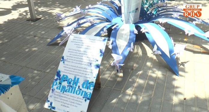 REPOR CRUCES DE MAYO