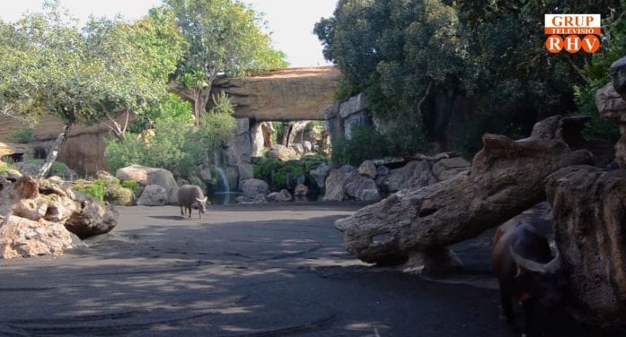 bioparc